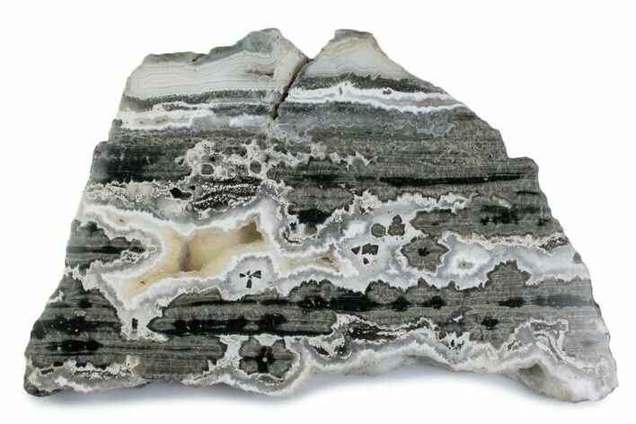 Polished Orbicular Ocean Jasper Slab - Madagascar #379333